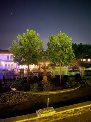 Tree removal+planting - Tree removal+planting Tree removal+planting - Tree removal+planting