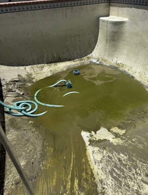 GREEN TO CLEAN - Orange County Pool Solutions has seen it all. We want the green dirty pools. It’s so satisfying brining them back to life.