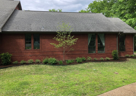 Framing through Planting - Ryan found his love of plants when he started working for Calloway’s Nursery in Fort Worth in 2016. Since then, he’s managed nurseries, an agri-hood, and landscaping companies. When he moved with his wife, Kristen, to Athens in 2021, he started his own company, Elder Creek Landscaping. Framing through Planting - Ryan found his love of plants when he started working for Calloway’s Nursery in Fort Worth in 2016. Since then, he’s managed nurseries, an agri-hood, and landscaping companies. When he moved with his wife, Kristen, to Athens in 2021, he started his own company, Elder Creek Landscaping.