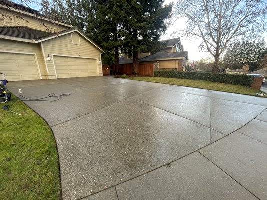 Pressure Washing - This driveway and sidewalk had organic growth and years of dirt buildup. We had to take care of this and kill all of the moss, and algae, and give the concrete a facelift!
