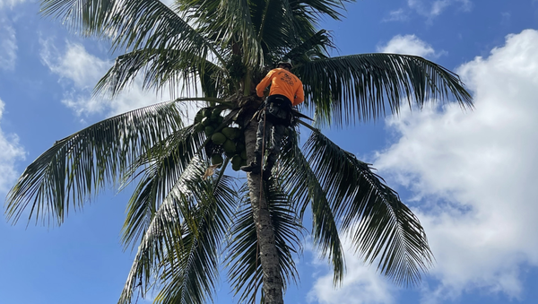 Our Services - Our experts are committed to quality results for your needs! Call today to schedule! Our Services - Our experts are committed to quality results for your needs! Call today to schedule!