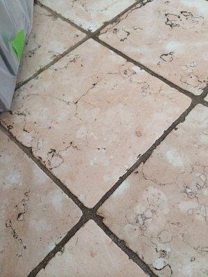 Tile & Grout Services - Renew your tile surfaces with White Leaf Floor Care’s professional tile and grout cleaning! Our expert specializes in removing tough grime, mold, and stains, leaving your floors sparkling and like new. We use safe, powerful cleaning solutions and precise techniques to restore beauty to kitchens, bathrooms, and more. Count on us for reliable service and long-lasting results that bring out the best in your home’s tile. Tile & Grout Services - Renew your tile surfaces with White Leaf Floor Care’s professional tile and grout cleaning! Our expert specializes in removing tough grime, mold, and stains, leaving your floors sparkling and like new. We use safe, powerful cleaning solutions and precise techniques to restore beauty to kitchens, bathrooms, and more. Count on us for reliable service and long-lasting results that bring out the best in your home’s tile.