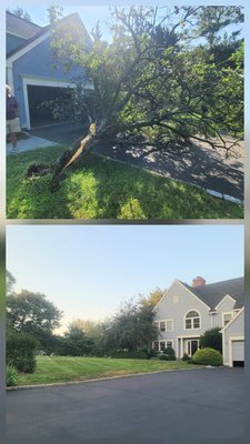 Emergency Tree Removal – Fallen Tree on Driveway - Our crew responded to a homeowner who had a tree fall across their driveway, completely blocking access to their property. We provided fast and safe emergency tree removal, cutting and hauling away the fallen tree. Once the tree was cleared, we performed full debris cleanup to leave the driveway safe and accessible again.
At JNP Tree Removal LLC, we specialize in tree removal, stump grinding, and storm cleanup services throughout Fairfield County and surrounding areas. Whether it’s a hazardous tree, storm damage, or seasonal cleanup, our licensed and insured team is ready to help.
We offer insurance.
Schedule your free on-site quote https://calendly.com/jnptreeremoval
or contact us at 475 319 4806 Emergency Tree Removal – Fallen Tree on Driveway - Our crew responded to a homeowner who had a tree fall across their driveway, completely blocking access to their property. We provided fast and safe emergency tree removal, cutting and hauling away the fallen tree. Once the tree was cleared, we performed full debris cleanup to leave the driveway safe and accessible again.
At JNP Tree Removal LLC, we specialize in tree removal, stump grinding, and storm cleanup services throughout Fairfield County and surrounding areas. Whether it’s a hazardous tree, storm damage, or seasonal cleanup, our licensed and insured team is ready to help.
We offer insurance.
Schedule your free on-site quote https://calendly.com/jnptreeremoval
or contact us at 475 319 4806