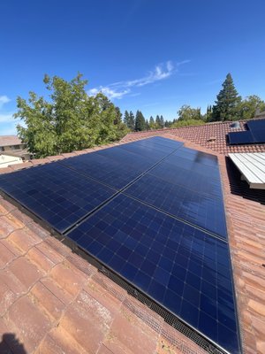 Bird proofing solar - Bird proofing solar