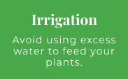 Irrigation - If you want to keep your yard green and healthy, it's a good idea to install an irrigation system. That way, you can keep your plants watered - without putting in the elbow grease. When you need irrigation system installation services in the Denton, TX area, turn to Rich's Irrigation Solutions for assistance. We can equip your property with a top-quality irrigation system that's efficient and long-lasting Irrigation - If you want to keep your yard green and healthy, it's a good idea to install an irrigation system. That way, you can keep your plants watered - without putting in the elbow grease. When you need irrigation system installation services in the Denton, TX area, turn to Rich's Irrigation Solutions for assistance. We can equip your property with a top-quality irrigation system that's efficient and long-lasting