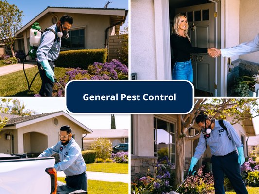 General Pest Control - With a range of treatment options from recurring quarterly or bi-monthly appointments to one-time treatments, we’ll be sure to have the solution you need to make your pest problems a thing of the past. General Pest Control - With a range of treatment options from recurring quarterly or bi-monthly appointments to one-time treatments, we’ll be sure to have the solution you need to make your pest problems a thing of the past.