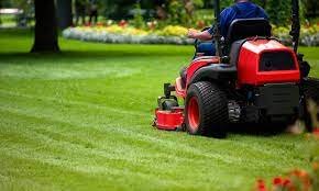 Lawn Care - MIO Lawn Care LLC is a reliable landscaping company in Central FL. Offering our customers dedication, affordable pricing with promos and specials, and results that speak for themselves. Our team of professionals is committed to providing you with a more than satisfactory customer experience, taking the time to understand the specifications of your property so that we can address everything that needs to be taken care of. We make sure the job is completed to our customer's satisfaction.
Our services include:
Commercial Landscaping
Residential Landscaping
Lawn Care
Tree Trimming
Hauling Services
Pressure Washing
And More! Lawn Care - MIO Lawn Care LLC is a reliable landscaping company in Central FL. Offering our customers dedication, affordable pricing with promos and specials, and results that speak for themselves. Our team of professionals is committed to providing you with a more than satisfactory customer experience, taking the time to understand the specifications of your property so that we can address everything that needs to be taken care of. We make sure the job is completed to our customer's satisfaction.
Our services include:
Commercial Landscaping
Residential Landscaping
Lawn Care
Tree Trimming
Hauling Services
Pressure Washing
And More!