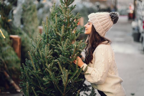 Christmas Tree and Holiday Glee - Explore our handpicked selection of real, fresh-cut trees in a family and pet-friendly environment, complete with festive Christmas music. If you’re looking for a Fraser Fir, we have the perfect one to brighten your home this holiday season. Experience the unforgettable aroma of Christmas as you choose a tree that brings joy and warmth throughout the holidays. Visit us and let Josario’s Christmas Trees become a cherished part of your holiday traditions!