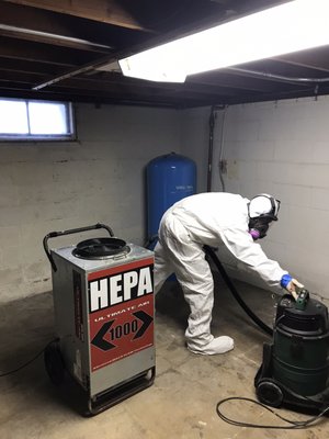 Mold Remediation - Mold Remediation