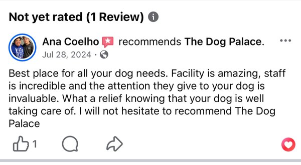 Client Reviews - what our clients have to say about us Client Reviews - what our clients have to say about us