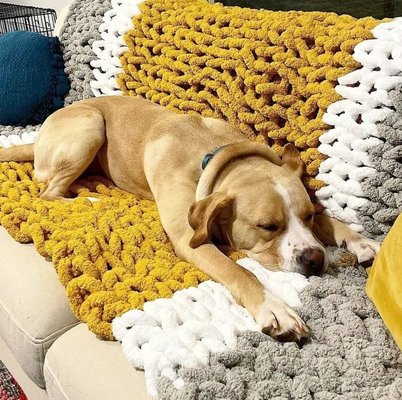 Hand Knit Chunky Blanket - As the temperature drops, the need for these warm & cozy hand-knit chunky blankets increase! You get to select 5 skeins (up to 3 colors) and we'll take you step by step thru the process of hand-knitting your very own blanket! Reservations are required so sign up, show up, sip up & CREATE at one of our upcoming classes - view the calendar at www.wineanddesign.com/calendar/madison-al Hand Knit Chunky Blanket - As the temperature drops, the need for these warm & cozy hand-knit chunky blankets increase! You get to select 5 skeins (up to 3 colors) and we'll take you step by step thru the process of hand-knitting your very own blanket! Reservations are required so sign up, show up, sip up & CREATE at one of our upcoming classes - view the calendar at www.wineanddesign.com/calendar/madison-al