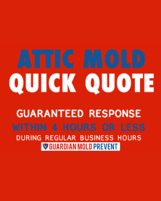 Professional Mold Remediation - Erase mold problems safely and efficiently with our guaranteed remediation services. We use non-toxic methods to eliminate mold and prevent it from coming back, addressing the root causes while protecting your property and indoor air quality. Our team ensures every remediation project is completed with minimal disruption and the highest attention to detail. Professional Mold Remediation - Erase mold problems safely and efficiently with our guaranteed remediation services. We use non-toxic methods to eliminate mold and prevent it from coming back, addressing the root causes while protecting your property and indoor air quality. Our team ensures every remediation project is completed with minimal disruption and the highest attention to detail.