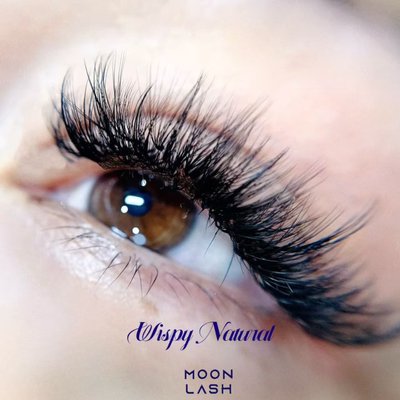 Wispy Natural Volume - In lash extensions, "wispy" describes a style that creates a natural, feathery look by varying the length and thickness of the extensions. This variation in length, often referred to as "spikes" or "spikes and valleys," mimics the natural lash pattern and gives the lashes a soft, fluttering appearance. Wispy Natural Volume - In lash extensions, "wispy" describes a style that creates a natural, feathery look by varying the length and thickness of the extensions. This variation in length, often referred to as "spikes" or "spikes and valleys," mimics the natural lash pattern and gives the lashes a soft, fluttering appearance.