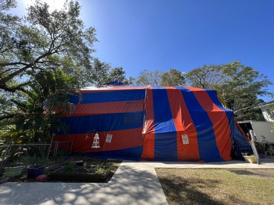 Bye Bye Termites Pest Control
Vizcaya, FL Fumigation
Drywood Termites Extermination
73k Crawl - Bye Bye Termites Pest Control
Termite Fumigation
www.byebyetermitespestcontrol.com
305-244-5688 ANDY
305-525-8361 LAZARO
MIAMI’S #1 FUMIGATION TEAM Bye Bye Termites Pest Control
Vizcaya, FL Fumigation
Drywood Termites Extermination
73k Crawl - Bye Bye Termites Pest Control
Termite Fumigation
www.byebyetermitespestcontrol.com
305-244-5688 ANDY
305-525-8361 LAZARO
MIAMI’S #1 FUMIGATION TEAM
