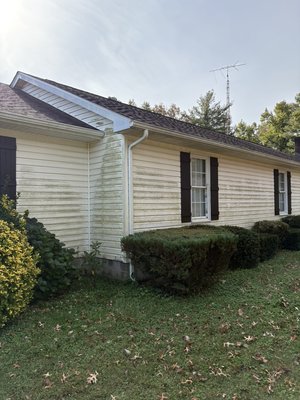 House washing - These homes were professionally cleaned by East Side Soft Wash using our pressure-less soft wash technique allowing the siding to shine, with no risk of damages.