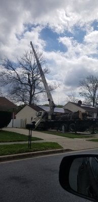 Tree removal for our solar customer at no out of pocket expense. - This project was completed in 4/21. The customer had many estimates before Sunrayzor, and they all told him that he couldn't go solar because of the huge tree behind his house.  As you can see we dont let treed stop us, as we where able to remove it at no out of pocket cost for the customer. Now he gets 100% production offset!