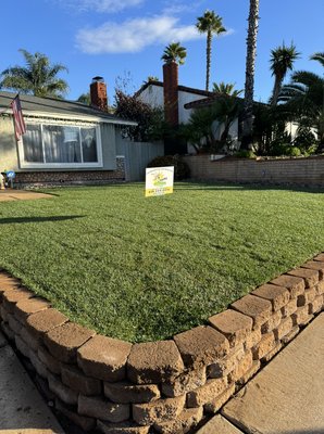 Front yard Fresh Tall fescue sod installed in El Cajon Ca. - Customer called us to update his front yard. After consultation, It was decided to remove big rock and expand grass area.  Removed all of grass and installed brand new fresh Tall Fescue Sod.