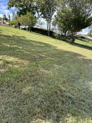 Wild Lawn Hills - This Job was done in 3.5 hours, including wild Lawn, hills and others, We certainly will satisfy your needs. We always are willing to improve and negotiate with the customer, in order to gain a client, and a friend as well. Wild Lawn Hills - This Job was done in 3.5 hours, including wild Lawn, hills and others, We certainly will satisfy your needs. We always are willing to improve and negotiate with the customer, in order to gain a client, and a friend as well.