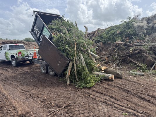 Tree removal - Hazardous tree removals, Tree Trimming, Hauling, We do it all. From small hedge trimming to huge Grand oak removals and more. Free estimates Tree removal - Hazardous tree removals, Tree Trimming, Hauling, We do it all. From small hedge trimming to huge Grand oak removals and more. Free estimates