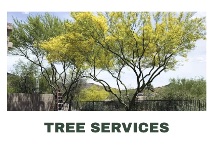 Tree Service - TREE SERVICE
Tree Trimming
Tree Removal
Stump Removal
Palm Tree Trimming Tree Service - TREE SERVICE
Tree Trimming
Tree Removal
Stump Removal
Palm Tree Trimming