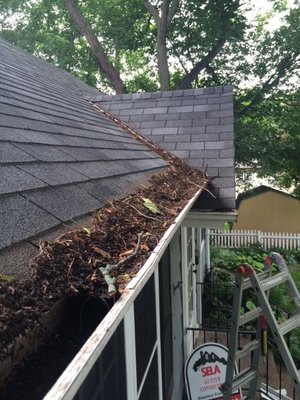 Gutter Guard Installation - The gutters at this St. Paul home were overflowing with leaves and debris. Our team cleaned out the gutters and installed beautiful new LeafX gutter covers. Just by taking a look, it's clear that the homeowners can now look forward to years of care-free maintenance. Gutter Guard Installation - The gutters at this St. Paul home were overflowing with leaves and debris. Our team cleaned out the gutters and installed beautiful new LeafX gutter covers. Just by taking a look, it's clear that the homeowners can now look forward to years of care-free maintenance.