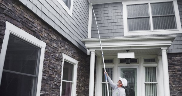 Getting rid of spiders - When working with spiders, destroying their webs is essential! Getting rid of spiders - When working with spiders, destroying their webs is essential!