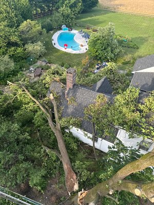 Tree Removals - Tree removal is sometimes essential to the safety of you and your property. 

Call or Text: 19086994736