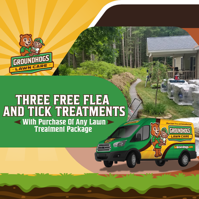 Three Free Flea And Tick Treatments - *With Purchase Of Any Lawn Treatment Package Three Free Flea And Tick Treatments - *With Purchase Of Any Lawn Treatment Package