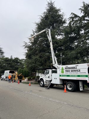 HERNANDEZ TREE SERVICE - Updated February 2026 - 111 Photos & 97 ...