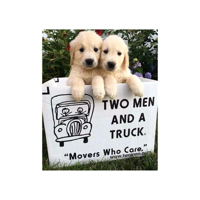 Moving Tips - One of the biggest keys to a successful home move is preparation! Being prepared is a process that starts well before moving day. Moving Tips - One of the biggest keys to a successful home move is preparation! Being prepared is a process that starts well before moving day.