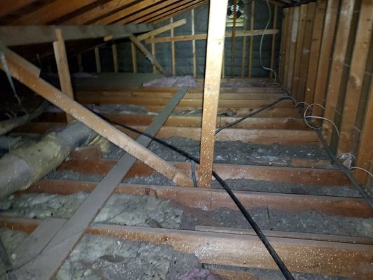 Attic Cleaning & Insulation - Northridge, CA - Attic Cleaning & Insulation job at: Northridge, CA