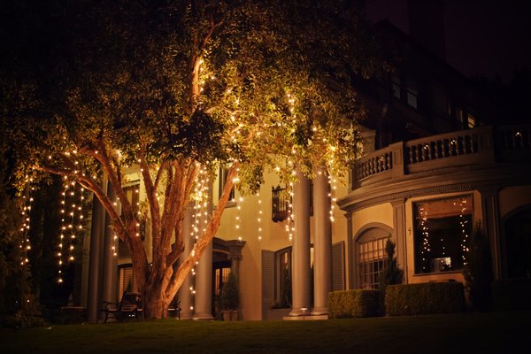 Globe Lighting - Our most popular request! A beautiful addition to any event whether it is a wedding or corporate party, you can never go wrong with globe lighting. They provide a beautiful warm light that brightens the  
Globe lights are $1.25/foot. Not sure how many you need? Reach out to our team at info@eventlightingrental.com for a quote based on your budget and venue dimensions.