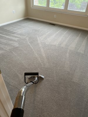 Odor/Stain Removal - This was a carpet cleaning job that had a lot of pet stain in a thick plush carpet but we treated them, raked the carpet, then applied our secret prespray to loosen the dirt, then we used our hot water extraction process to remove all the odors and dirt.