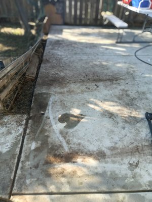 Patio restore - We get the job done!