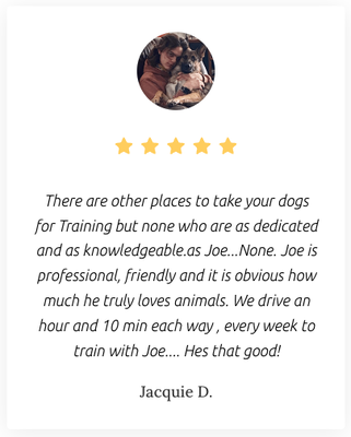 Read Our Reviews - If you’re looking for a dog trainer in Bucks County, look no further than Advanced K9 Training. Our dog trainers are experienced and certified & can help your dog with obedience training, behavior modification, and more. We as the institute of the best dog training in Bucks County, help you and your dog achieve your training goals, and we offer a variety of training programs to fit your needs. Read Our Reviews - If you’re looking for a dog trainer in Bucks County, look no further than Advanced K9 Training. Our dog trainers are experienced and certified & can help your dog with obedience training, behavior modification, and more. We as the institute of the best dog training in Bucks County, help you and your dog achieve your training goals, and we offer a variety of training programs to fit your needs.