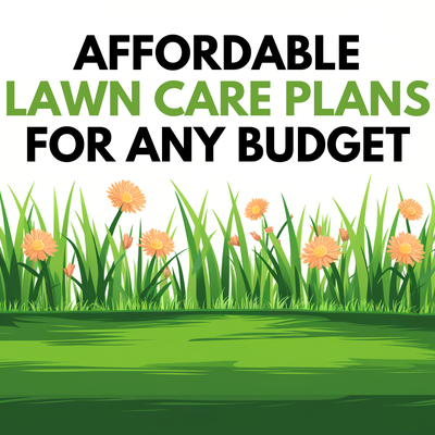 Lawn Mowing Project in Washington, DC - #deanwoodlawncare #lawnmowing Lawn Mowing Project in Washington, DC - #deanwoodlawncare #lawnmowing