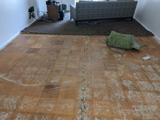 Laminated Floor Installation Project - Laminated Floor Project Installation Done On Oxon Hill MD 20745. Laminated Floor Installation Project - Laminated Floor Project Installation Done On Oxon Hill MD 20745.