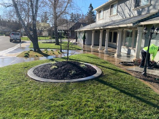 Front Yard - Front Yard Front Yard - Front Yard