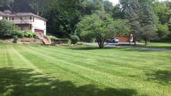Lawn mowing - Weekly lawn mowing available Lawn mowing - Weekly lawn mowing available