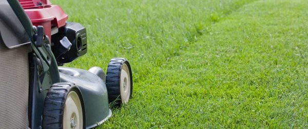 louis lawn care - Customer called need a lawn service and told him the The price louis lawn care - Customer called need a lawn service and told him the The price