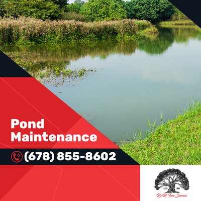 Pond Maintenance - Keep your retention pond, decorative pond, or water feature functioning optimally with R & R Tree Service's comprehensive pond maintenance services in Buford, GA, and throughout North Atlanta. Our experienced crew specializes in retention pond maintenance, ensuring proper drainage, preventing erosion, and maintaining the aesthetic appeal of your water feature. We provide complete pond cleaning services, including debris removal, fallen tree extraction, aquatic vegetation management, and sediment removal that can clog drainage systems.
As a licensed, bonded, and insured tree service company with over 39 years of experience in Gwinnett County, we understand the impact of trees and vegetation on pond health and functionality. Our pond maintenance services include trimming overhanging branches that drop leaves and debris, removing trees that have fallen into water features, and managing vegetation growth that can impede water flow.
Whether you manage a commercial property with retention ponds, a residential community with decorative water features, or a private pond on your property, our professional pond maintenance keeps your water feature beautiful and functional year-round. Serving Buford, Lawrenceville, Sugar Hill, Suwanee, and surrounding areas, we provide regular maintenance schedules or one-time cleanups to meet your specific needs. Pond Maintenance - Keep your retention pond, decorative pond, or water feature functioning optimally with R & R Tree Service's comprehensive pond maintenance services in Buford, GA, and throughout North Atlanta. Our experienced crew specializes in retention pond maintenance, ensuring proper drainage, preventing erosion, and maintaining the aesthetic appeal of your water feature. We provide complete pond cleaning services, including debris removal, fallen tree extraction, aquatic vegetation management, and sediment removal that can clog drainage systems.
As a licensed, bonded, and insured tree service company with over 39 years of experience in Gwinnett County, we understand the impact of trees and vegetation on pond health and functionality. Our pond maintenance services include trimming overhanging branches that drop leaves and debris, removing trees that have fallen into water features, and managing vegetation growth that can impede water flow.
Whether you manage a commercial property with retention ponds, a residential community with decorative water features, or a private pond on your property, our professional pond maintenance keeps your water feature beautiful and functional year-round. Serving Buford, Lawrenceville, Sugar Hill, Suwanee, and surrounding areas, we provide regular maintenance schedules or one-time cleanups to meet your specific needs.
