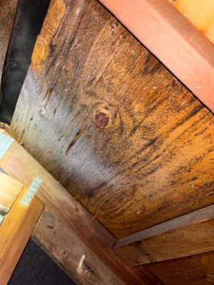 Mold Remediation - Combat mold and protect your health with Sound Crawls’ expert mold remediation services. We identify and eliminate mold at its source to restore clean air quality in your home. Our team takes proactive steps to prevent mold from returning by improving ventilation and sealing your home to reduce humidity and pollutants. With our advanced solutions, you can enjoy a healthier, more comfortable living environment that is energy efficient and mold free.