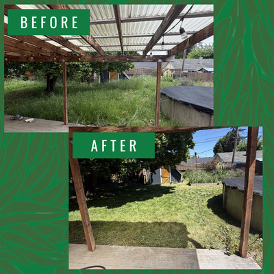Residential Overgrown yard - This property required a complete lawn restoration due to excessive overgrowth and neglected maintenance. The project involved cutting down tall grass, removing heavy vegetation, redefining lawn edges, and performing a thorough cleanup to restore the property’s appearance. Through careful attention to detail and multiple stages of mowing and trimming, the yard was transformed into a clean, well-maintained space that significantly improved the property’s curb appeal and overall presentation. Residential Overgrown yard - This property required a complete lawn restoration due to excessive overgrowth and neglected maintenance. The project involved cutting down tall grass, removing heavy vegetation, redefining lawn edges, and performing a thorough cleanup to restore the property’s appearance. Through careful attention to detail and multiple stages of mowing and trimming, the yard was transformed into a clean, well-maintained space that significantly improved the property’s curb appeal and overall presentation.