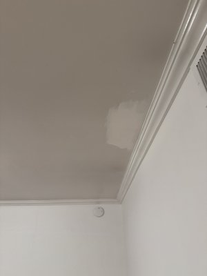 painting - a person approached me with a request to help paint a two-room apartment completely and I helped him with this, did everything at the highest level, the client really liked everything and the price and quality, I will be glad to work with him again!