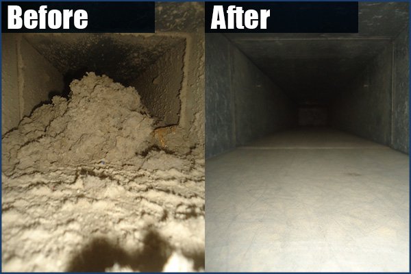 Air duct and dryer vent cleaning - $79.90 Dryer vent cleaning: no hidden fees: any size line, any floors.

We provide condo certificates. 

Get 50% OFF Dryer Vent Cleaning with complete Air duct cleaning Duct Cleaning service.