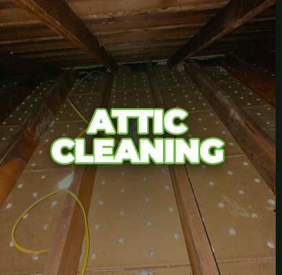 Attic Cleaning - Complete attic cleanout and sanitization, clearing out old debris, contaminated insulation, and buildup left behind from years of neglect (or a previous pest problem). We cleared the space down to the joists so it's ready for fresh insulation or safe storage use. A clean attic isn't just cosmetic — it removes allergens, odors, and potential health hazards from your home's air. Attic Cleaning - Complete attic cleanout and sanitization, clearing out old debris, contaminated insulation, and buildup left behind from years of neglect (or a previous pest problem). We cleared the space down to the joists so it's ready for fresh insulation or safe storage use. A clean attic isn't just cosmetic — it removes allergens, odors, and potential health hazards from your home's air.