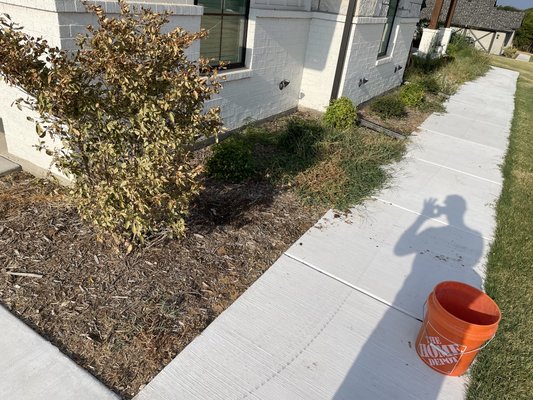 Flower bed makeover - This was a hostil takeover in a flower bed. Customer asked to remove all the weeds and bring the flower beds bad. She was shocked at the end results not know there where plants hidden in the weeds.

Don't let weeds infest your lawn and garden, let us help you out like we did with this highly satisfied customer!