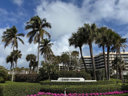 Commercial Landscaping Maintenance - Providing expert lawn care for residential and commercial properties in West Palm Beach, FL, and nearby areas for over 10 years! 🌿✨ Rescue Lawn Service offers tree service, lawn maintenance, shrub care, irrigation, bobcat services, new installations, and hardscaping—all with professional quality you can trust. Commercial Landscaping Maintenance - Providing expert lawn care for residential and commercial properties in West Palm Beach, FL, and nearby areas for over 10 years! 🌿✨ Rescue Lawn Service offers tree service, lawn maintenance, shrub care, irrigation, bobcat services, new installations, and hardscaping—all with professional quality you can trust.