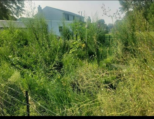 clean out all weeds and leaves - This was a big clean out of a customer vegetable beds and flower beds pulled weeds and sprayed. clean out all weeds and leaves - This was a big clean out of a customer vegetable beds and flower beds pulled weeds and sprayed.