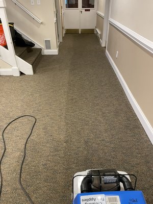 Deep carpet clean / event room cleaned. - This carpet was treated, deep washed & vacuumed. Dried & insured. Even room, fully cleaned and sanitized. Deep carpet clean / event room cleaned. - This carpet was treated, deep washed & vacuumed. Dried & insured. Even room, fully cleaned and sanitized.